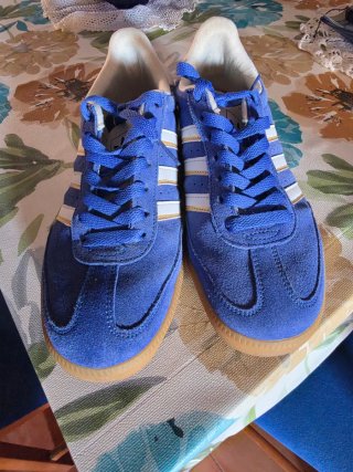 Zapatillas Adidas Azul y Blanco