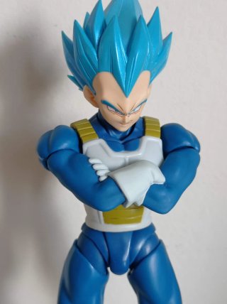 Sh Figuarts Vegeta Super Saiyan Blue unwavering