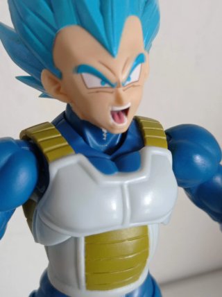 Sh Figuarts Vegeta Super Saiyan Blue unwavering