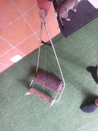 Recolector de aceitunas