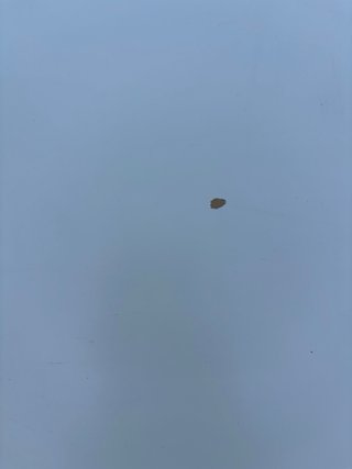 2 Mesas Centro Ikea Blancas con Ruedas