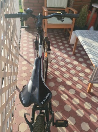 Bicicleta de montaña