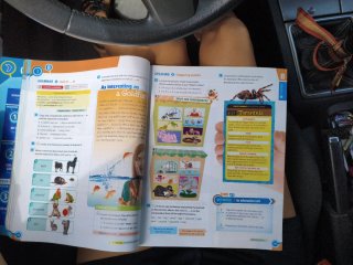 Network 1ºeso. Student's Book 2019