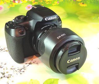 Canon EOS 1300D WiFi 2304F