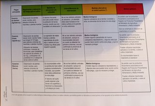 Guía Gestión Integrada Plagas Maíz