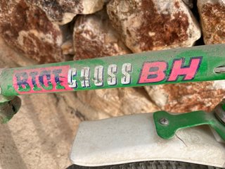 Bicicleta BH Bicicross Infantil Verde