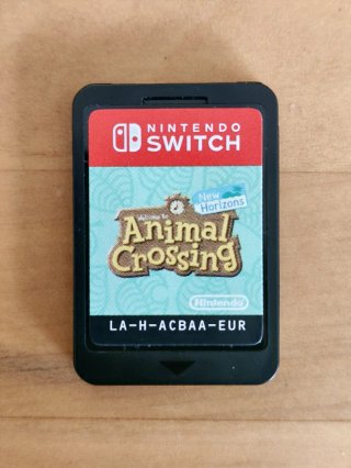 Nintendo Switch Lite Corallo + Custodia