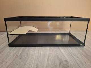 Terrario de cristal para tortugas