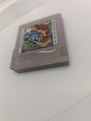 Game Boy: Fortress Of Fear (ESP)