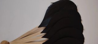 Elegante abanico negro