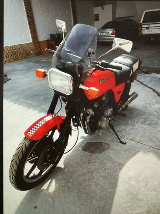Kawasaki Roja Naked
