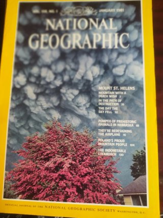 Revistas Nacional Geographic son 7