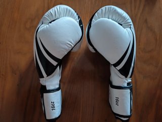 Guantes Venum Challenger 2.0 Ice