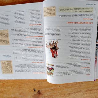 Libro Lengua y Literatura. 3º Eso. Vicens Vives