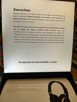Auriculares Audi Negros y Plateados