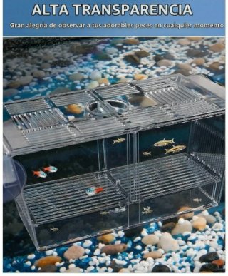 Caja de cría para peces de acuario