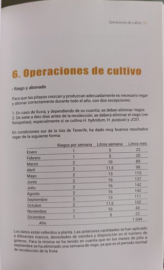 El cultivo de la pitaya