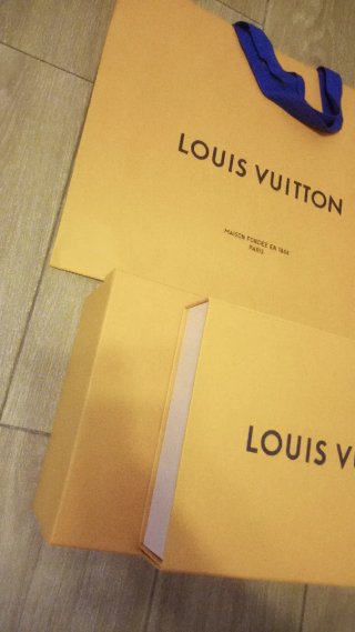 Lote de cajas y bolsas Louis Vuitton