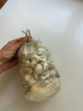 Sacchetto con conchiglie miste