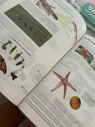 Libro Biología y Geología 1º ESO