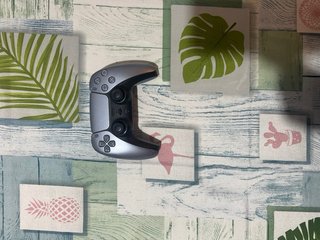Mando PS5 DualSense Gris