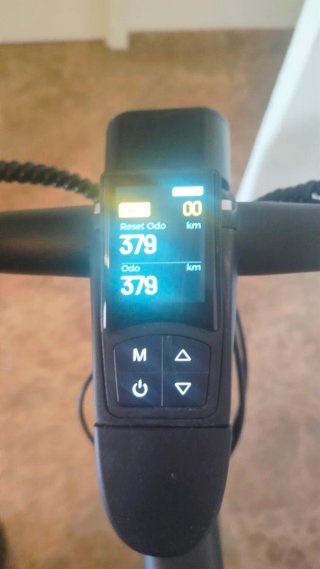 Bicicleta Eléctrica Talla L Fiido C21 Negra Mate