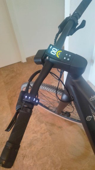Bicicleta Eléctrica Talla L Fiido C21 Negra Mate