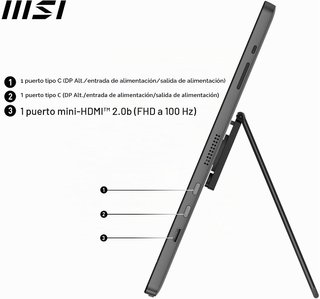 Monitor Portátil MSI PRO MP161 E2U