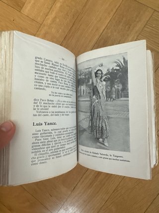 Libro Arte y Artistas Flamencos