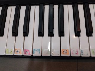 Teclado Yamaha PSR-F50