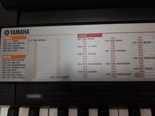Teclado Yamaha PSR-F50