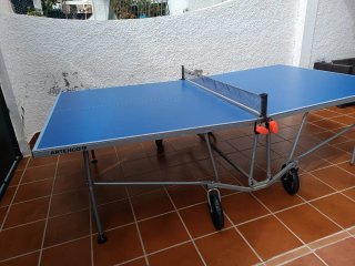 Mesa Ping Pong Artengo Plegable