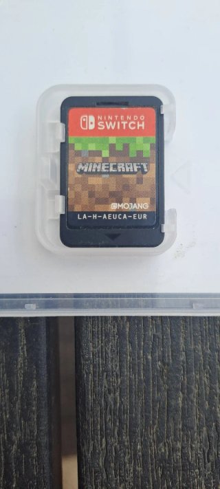 Minecraft Nintendo Switch