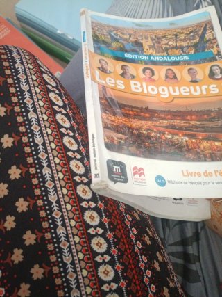Francés 2ESO.Les blogueurs 2 A1.1 livre Andalucía