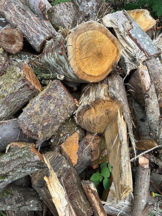 Leña para chimenea o barbacoa