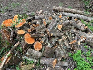 Leña para chimenea o barbacoa