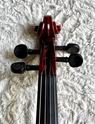 Viola 15,5’’ para grado profesional y amateurs