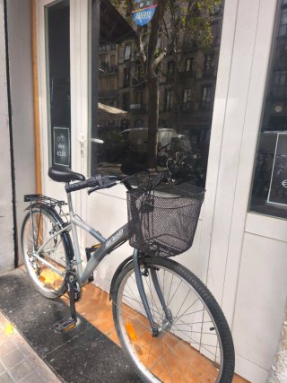 Bicicleta de paseo