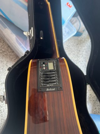 Guitarra Adanis GW494E Acústica