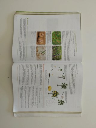 Biologia i Geologia 1r ESO