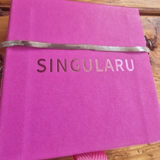 Singularu Pulsera Acero Inoxidable
