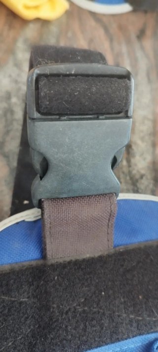 Arnés para perro Xdog azul talla L