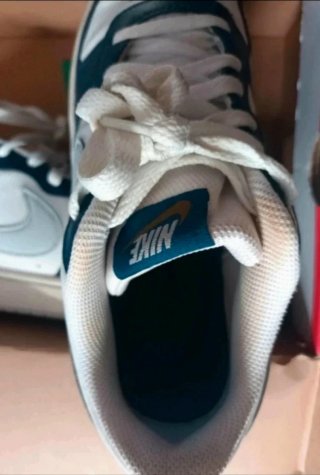 Zapatillas Nike Dunk Low Azul/Blanco