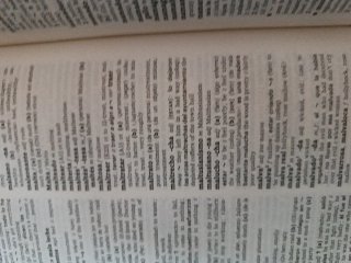 The Oxford Spanish Dictionary