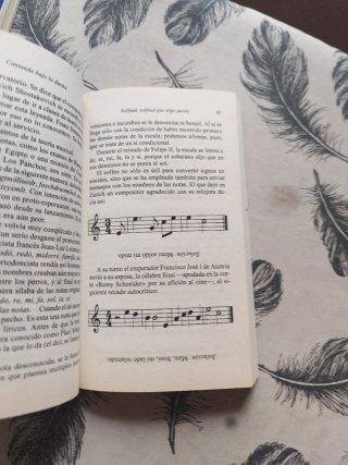Cantando bajo la ducha