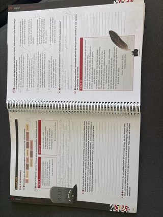 Libro valencià 4°ESO