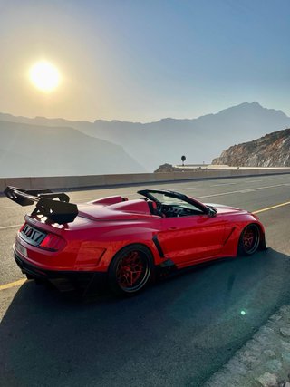 Ford Mustang 2019