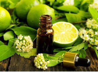 Olio essenziale bergamotto estratto da pianta bio
