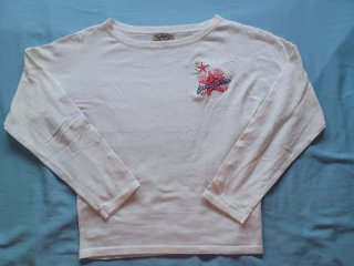 Camiseta manga larga Camaleónica Talla M