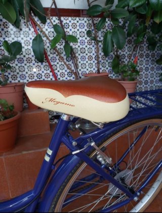 Bicicleta Retro Azul Megamo